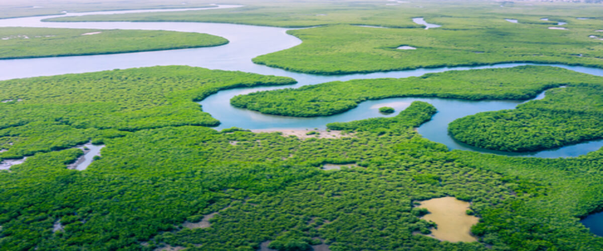 Milhas para viagem: descubra os melhores destinos na Amazônia