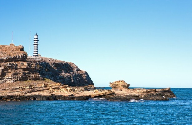 Descubra os recifes de coral e a vida marinha exuberante de Abrolhos na Bahia com milhas e pontos