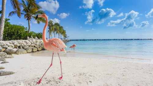 Aruba